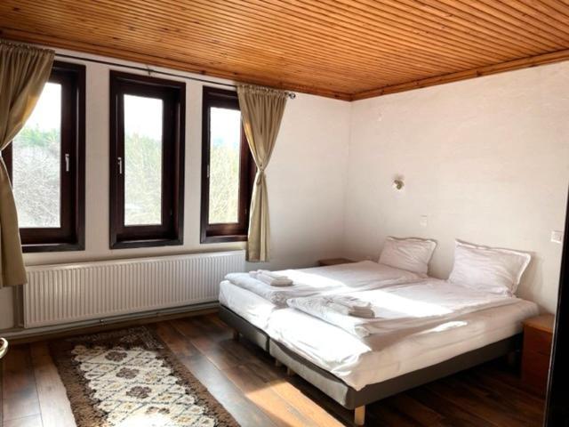Бор И Шишарка Varzilkovtsi Dış mekan fotoğraf